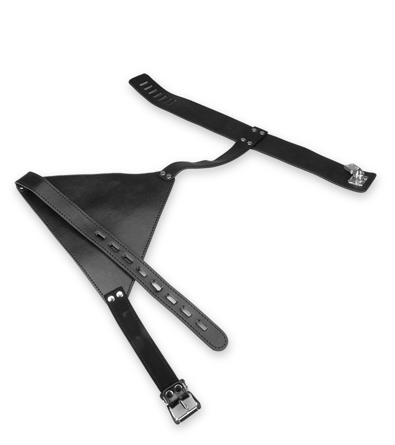 BDSM-Armfessel