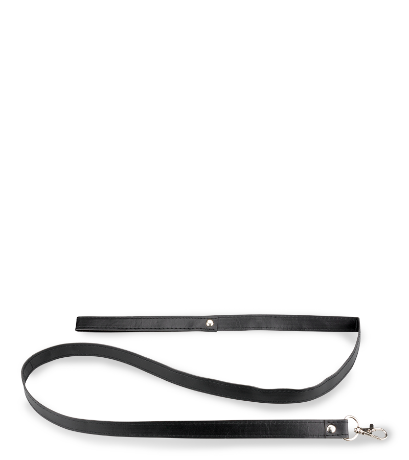BDSM-Halsband und -Leine